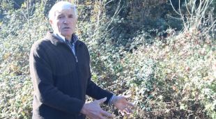 El caçador de Vilamarí (Pla de l'Estany) que va patir l'atac de vespes asiàtiques indica el forat on hi havia el niu