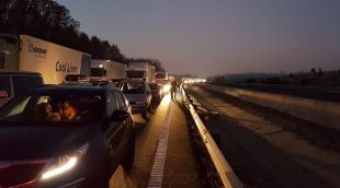 La llarga cua de vehicles que s'ha generat a primera hora del matí