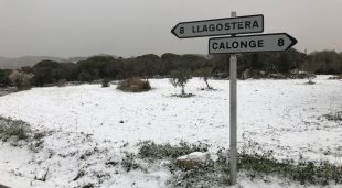 La nevada, a primera hora d'aquest matí a Romanyà de la Selva