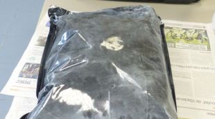 La droga comissada a tres persones que havien comprar marihuana a l'habitatge de La Bisbal