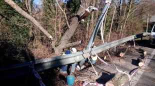 L'arbre també s'ha emportat un fanal que han obligat a tallar la carretera