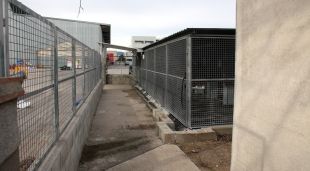 Les instal·lacions del centre municipal d'acollida d'animals que es troba al polígon Mas Xirgu de Girona