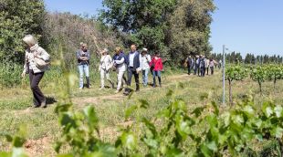 Un instant de la marxa celebrada l'any passat