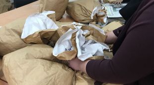 Veïns de La Farga preparant el muntatge de l'Exposició de Flora de Banyoles