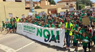 La manifestació que ha recorregut els carrers de Verges