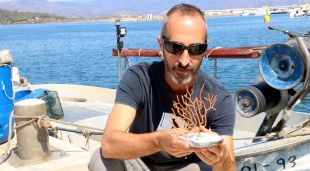 El científic del CSIC, Andrea Gori, mostrant una de les gorgònies que s'han retornat al mar