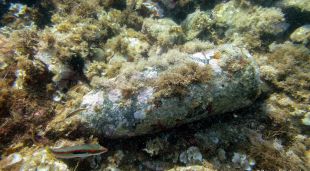 El projectil trobat ahir a les Illes Formigues