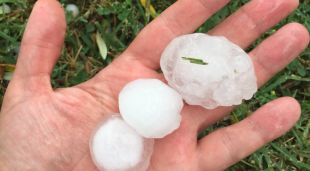 Algunes de les pedres recollides a Begudà (Garrotxa)