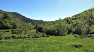 Vista del Puig de l'Ofrena a Riuraura