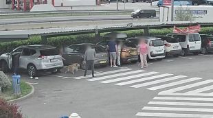 El grup criminal que robava a turistes actuant en una de les àrees de servei de l'AP-7