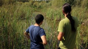 Dos tècnics de la fundació contemplen una de les basses naturals creades per la subsistència de la tortuga