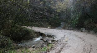 La riera on va passar el succés, aquest matí