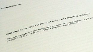diputació, reglament, català