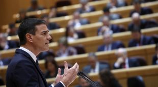 El president espanyol, Pedro Sánchez, al Senat, el 18 de desembre del 2018