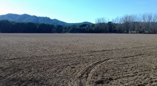 El sector de la Riera dels Molinets de Santa Cristina d'Aro on es preveu la construcció de 211 habitatges, un hotel i un camp de golf,