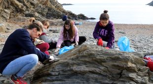 Un grup de persones netejant una de les cales de Cadaqués, aquest matí