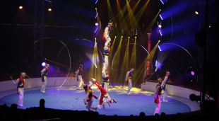 Assaig del National Circus of Pyongyang de l'espectacle Blau