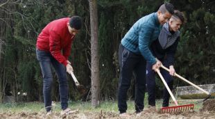Alguns dels joves que viuen a la casa d'acollida per a joves immigrants no acompanyats treballant a l'hort