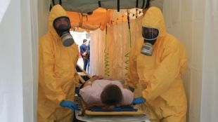 SEM, nuclear, simulacre