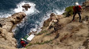 Els tècnics instal·lant la caixa niu per a falcons pelegrins en un penya-segat del Far de Tossa de Mar