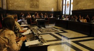 Un instant del darrer ple ordinari del mandat, que ha tingut lloc aquesta tarda