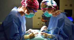 Sessió amb l'odontòloga Cristina Marés, a l'hospital Santa Caterina