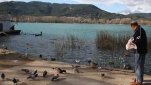 Estany, banyoles, gavians
