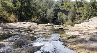 La poca aigua que hi ha a la riera de Merlès, al seu pas per Santa Maria de Merlès