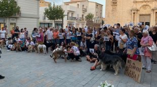 Els manifestants concentrats davant de l'Ajuntament, minuts abans de començar el ple