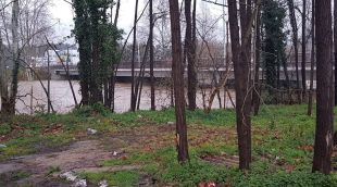 El riu Tordera, ahir al seu pas per Hostalric