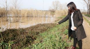 L'alcaldessa de Canet de la Tallada, Dolors Guàrdia, assenyalant fins on va pujar el cabal del Ter