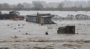 Imatge de conreus completament inundats a la llera de la Tordera, a Malgrat de Mar el dimecres
