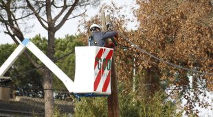 Un operari tallant els cables d'una casa connectada il·legalment a la xarxa elèctrica pública a la urbanització d'Aigüesbones