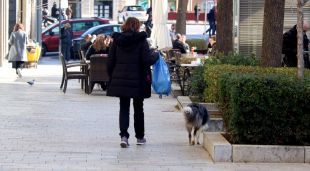 Una dona passejant un gos pel centre de Girona, aquest matí