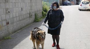 Una voluntària passejant un gos per un carrer de Vilajuïga