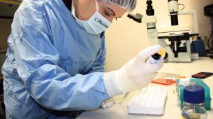 vacuna, científic, científica, laboratori