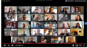 Captura de pantalla del ple telemàtic que ha celebrat l'Ajuntament de Girona