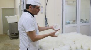 Manel Marcè girant un dels formatges ecològics que produeix a la granja de Siurana