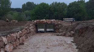 La Mota a Torroella, aquest matí