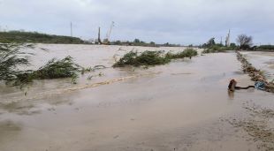 La Tordera desbordada al seu pas per Palafolls