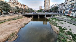 La zona on s'ha actuat (esquerra), fotografiada pel regidor de Sostenibilitat