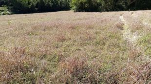 Camp d'ordi malmès a Ventalló
