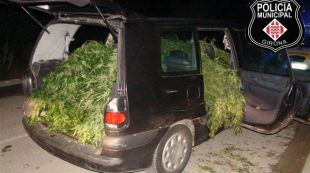 marihuana, cotxe, maria, detenció