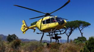 L'helicòpter dels Bombers enduent-se al ciclista accidentat aquest matí