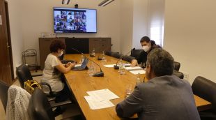 Un moment del ple ordinari de la Diputació de Girona celebrat telematicament.