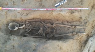 Un dels esquelets a la zona d'excavació de Fares