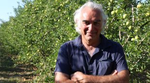Narcís Poch, coordinador d'Unió de Pagesos a les comarques de Girona en un camp de pomers
