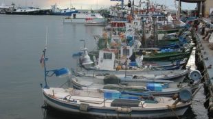 barques, roses, port, pescadors