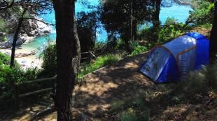 càmping, tossa, Llevado, tenda