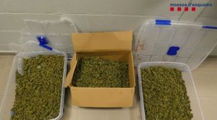 Les capses de marihuana comissades als assaltants